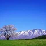 iwate-occupational-therapist-job-change-site